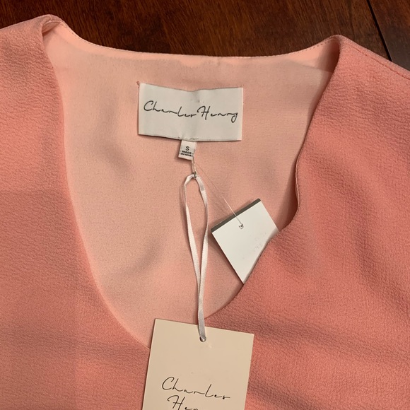 Shift Dress Blush rose NWT - Picture 6 of 8